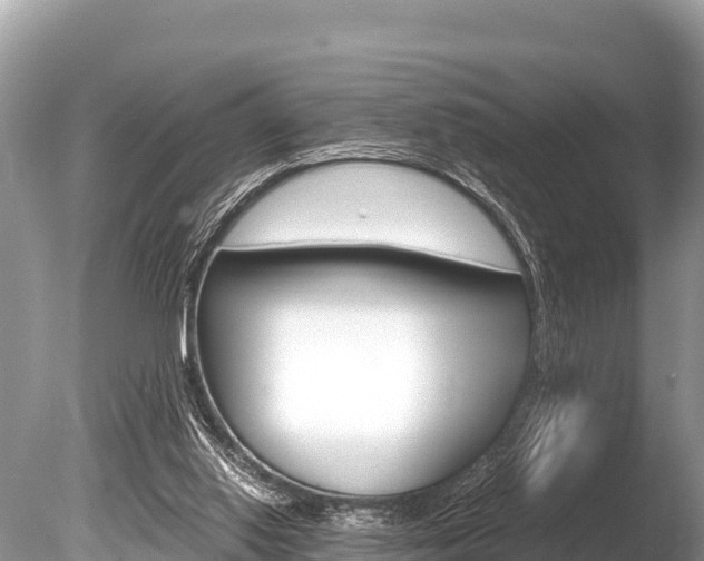 X0000086260062200703291113