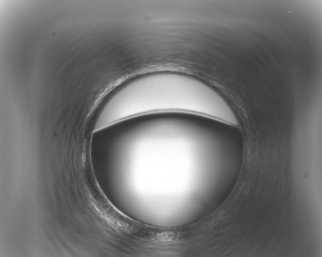 X0000086260064200703291113