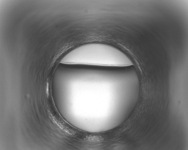 X0000086260067200703291113