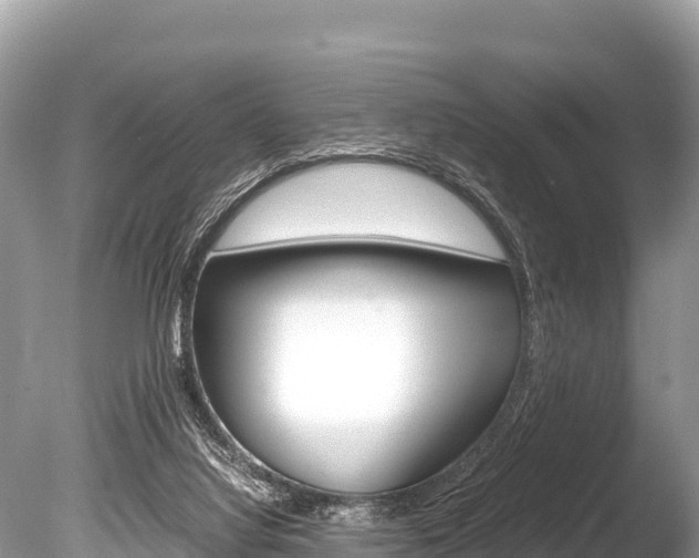 X0000086260068200703291113