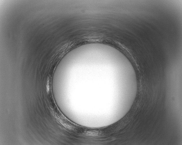 X0000086260069200703291113