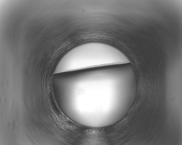 X0000086260074200703291114
