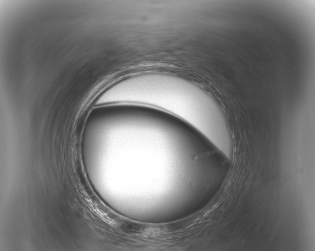 X0000086260101200703291113