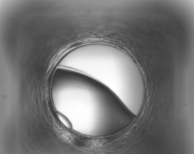 X0000086260103200703291113