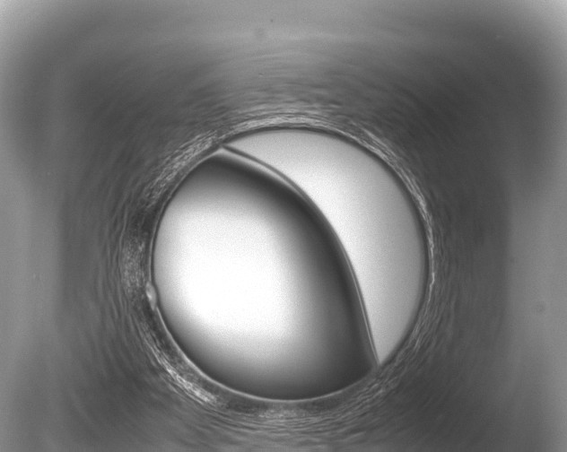 X0000086260105200703291113