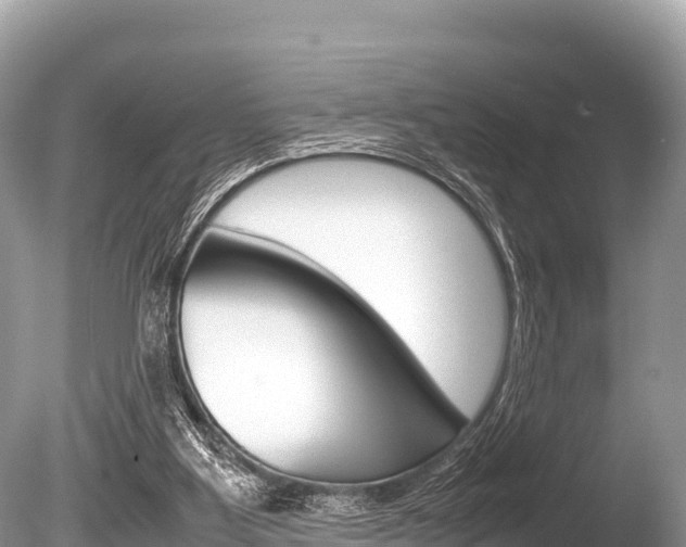X0000086260107200703291113