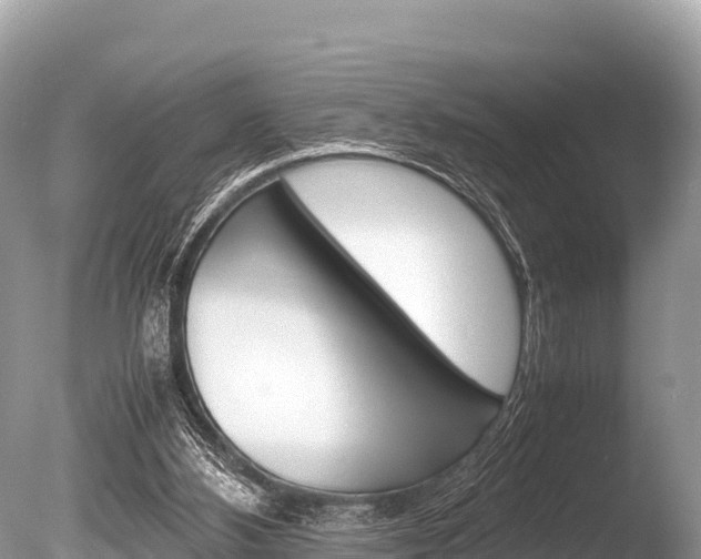 X0000086260108200703291113