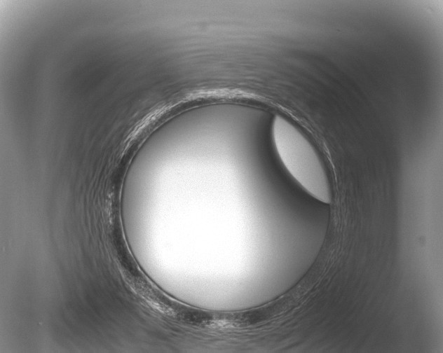 X0000086260111200703291113
