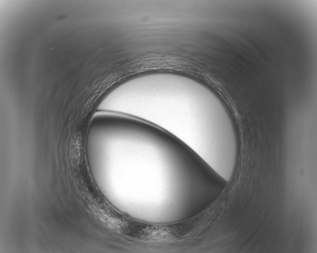 X0000086260113200703291113