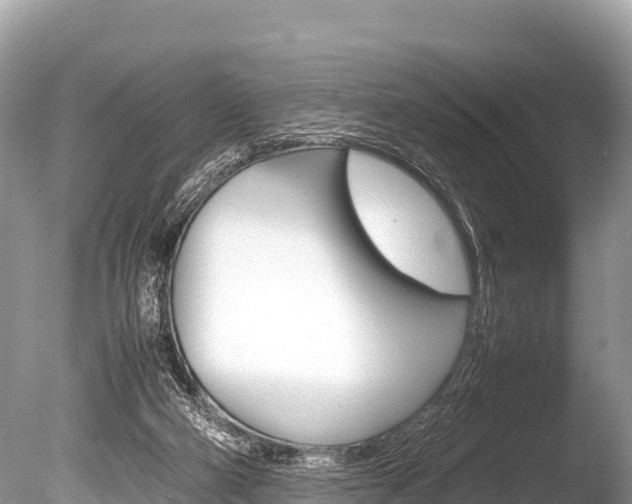 X0000086260114200703291113