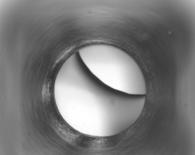 X0000086260116200703291113
