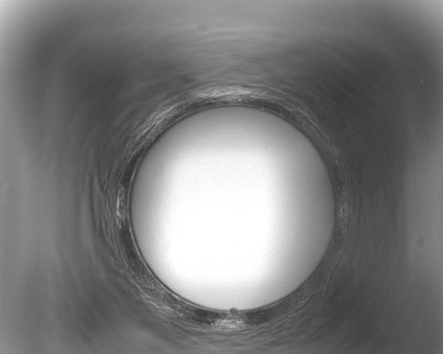 X0000086260119200703291113
