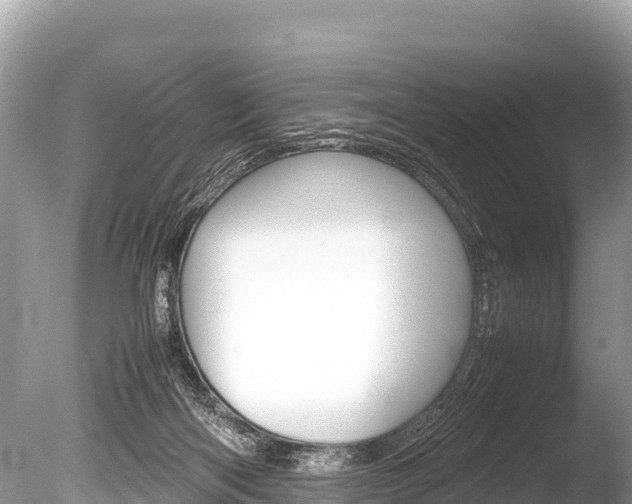 X0000086260122200703291113