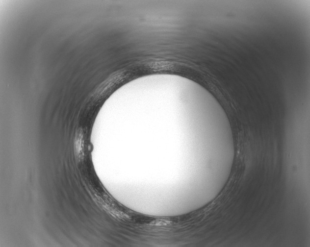 X0000086260124200703291113
