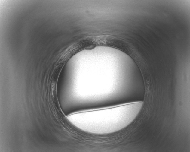X0000086260125200703291113
