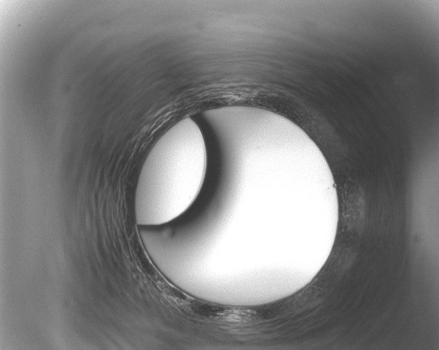 X0000086260128200703291113