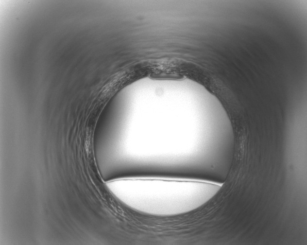 X0000086260129200703291113