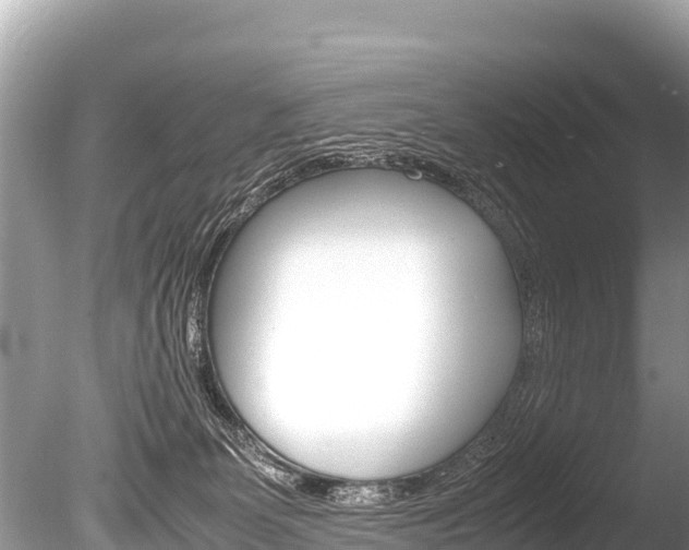 X0000086260131200703291113