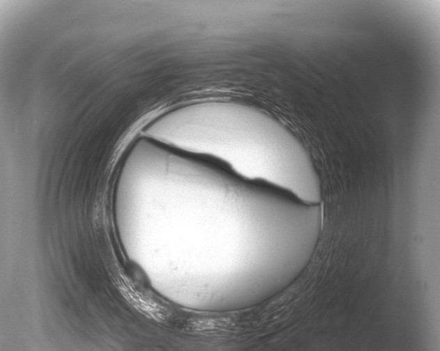 X0000086260147200703291112