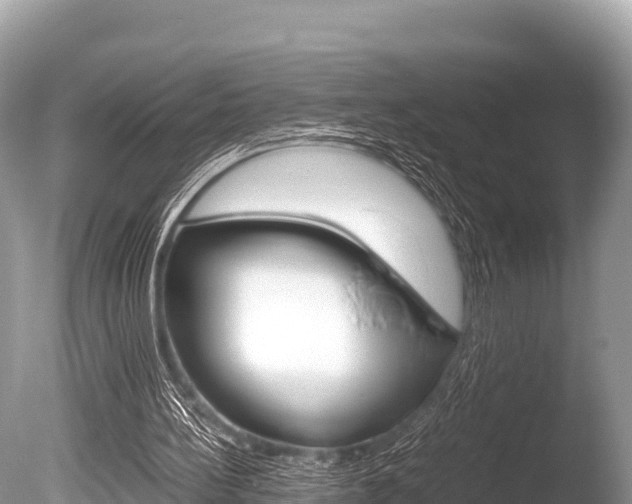 X0000086260148200703291112