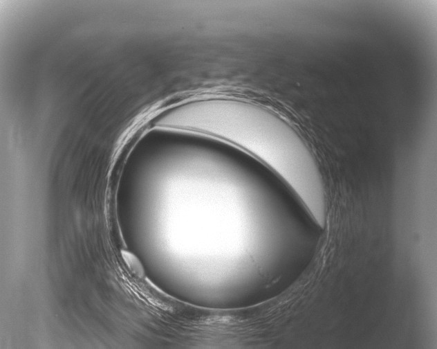 X0000086260152200703291112