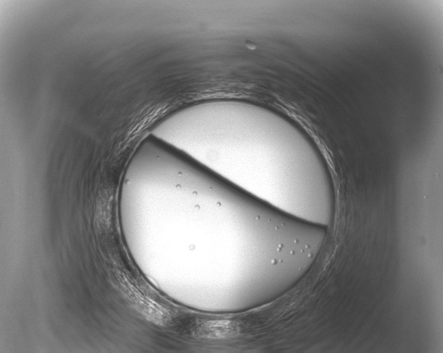 X0000086260153200703291112