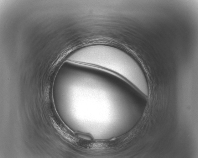 X0000086260154200703291112