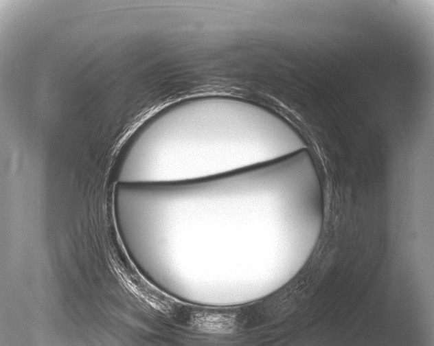 X0000086260155200703291112