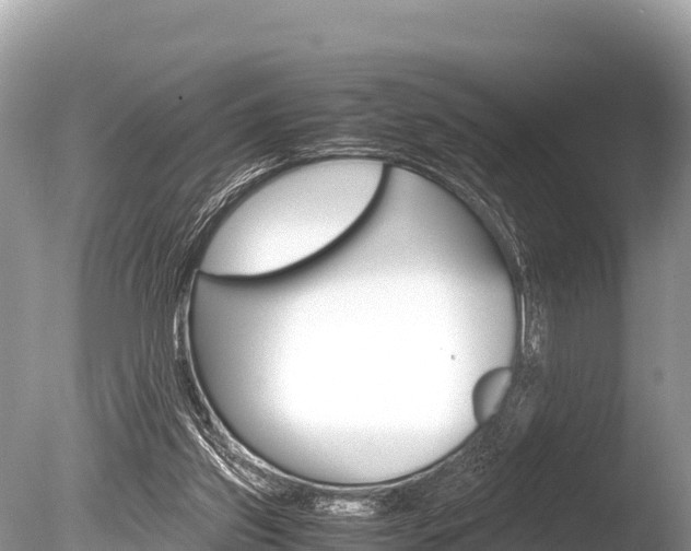 X0000086260157200703291112