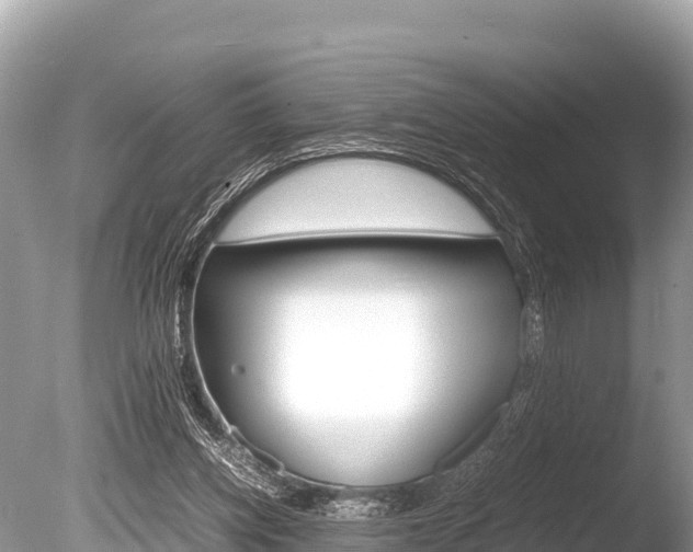 X0000086260158200703291112