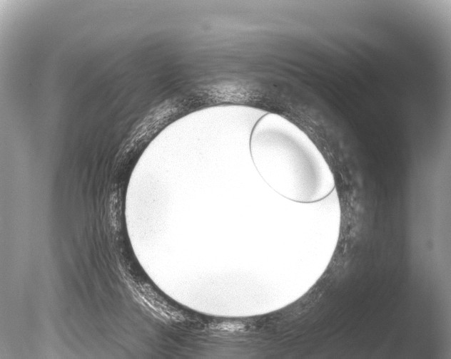 X0000086260162200703291112
