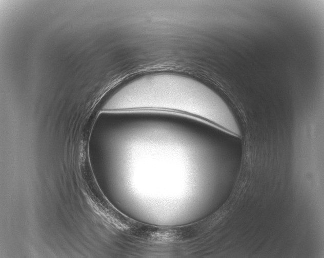 X0000086260164200703291112