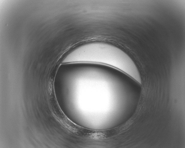 X0000086260168200703291112