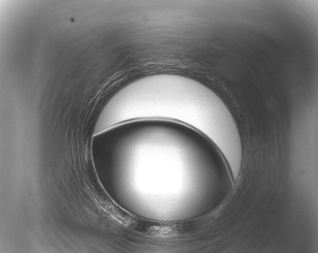 X0000086260170200703291112