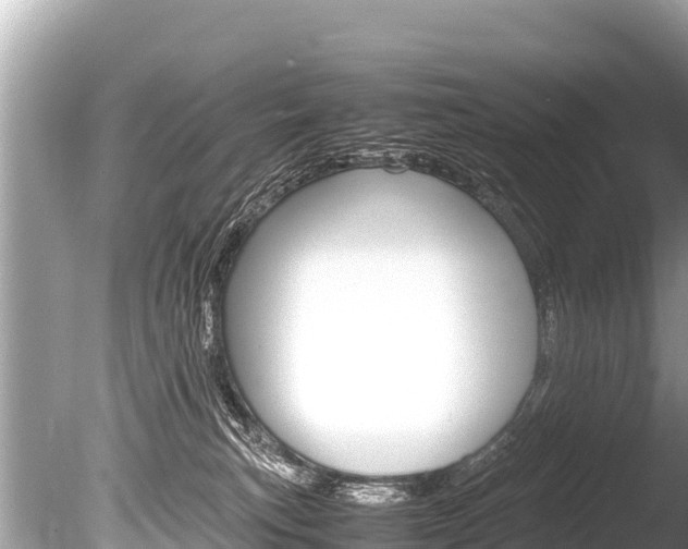 X0000086260183200703291112