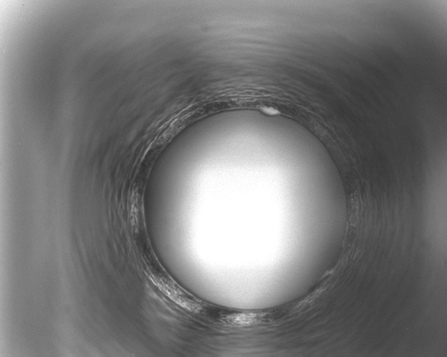 X0000086260184200703291112