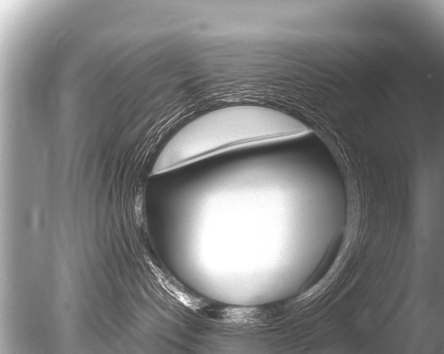 X0000086260192200703291112