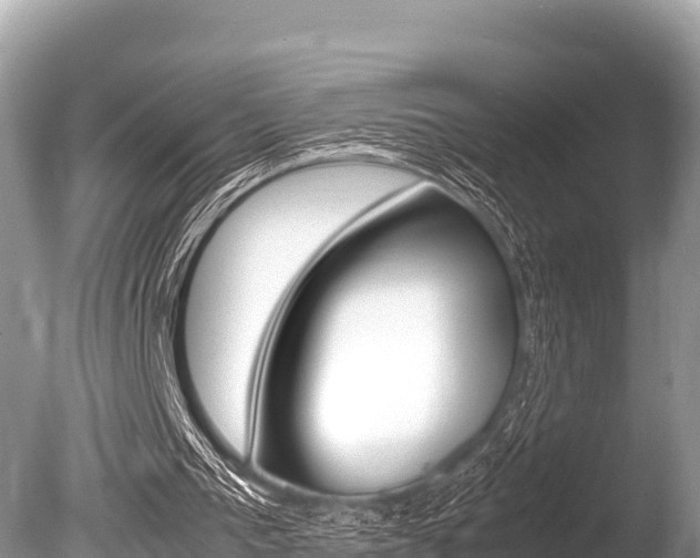 X0000086260193200703291111