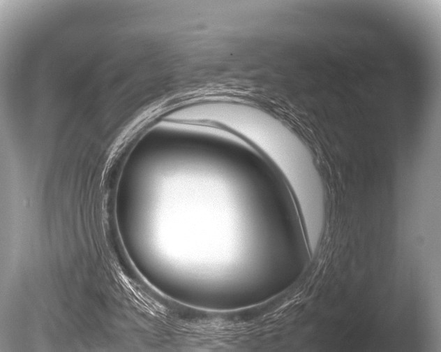 X0000086260197200703291111