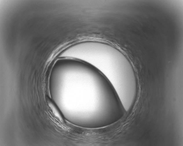 X0000086260199200703291111