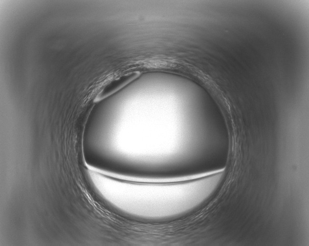 X0000086260201200703291111