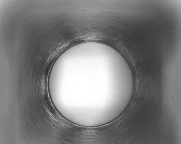 X0000086260202200703291111