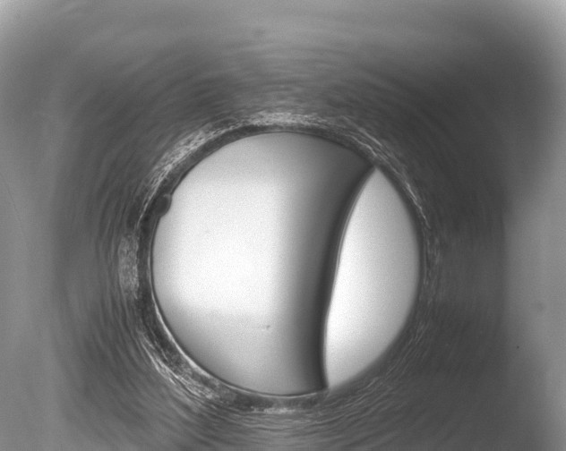 X0000086260204200703291111