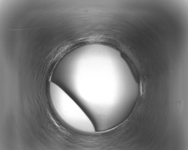 X0000086260205200703291111