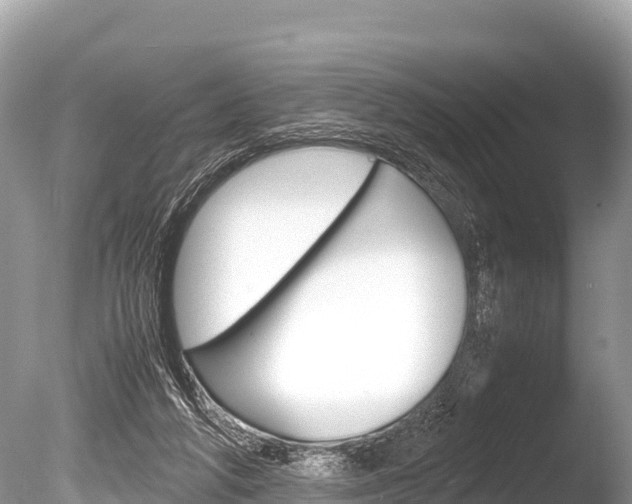 X0000086260210200703291111