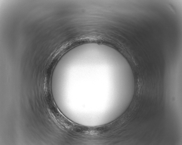 X0000086260212200703291111
