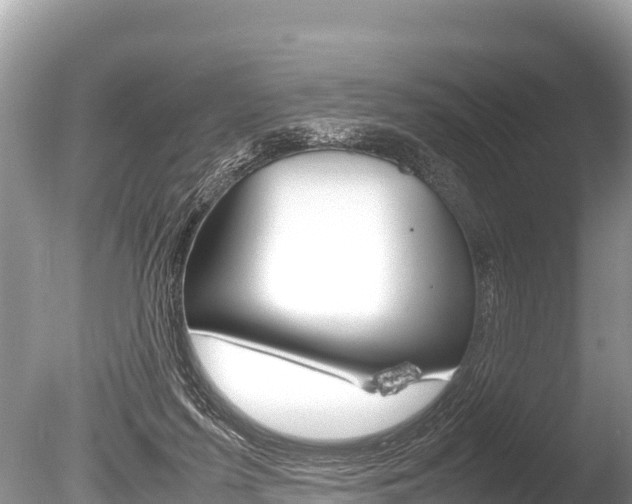 X0000086260215200703291111
