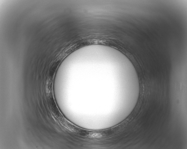 X0000086260218200703291111