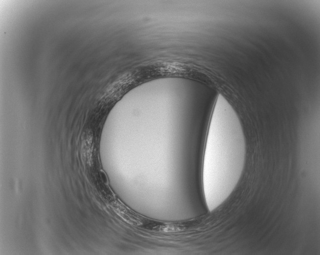 X0000086260223200703291111