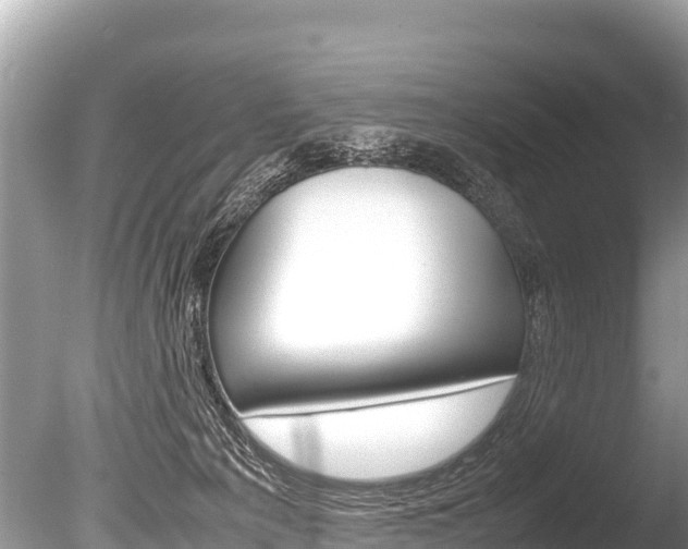 X0000086260225200703291111